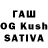 Каннабис White Widow Frank Bumstead