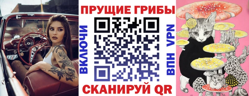 даркнет сайт  сайты даркнета как зайти  Псилоцибиновые грибы Psilocybine cubensis  Анива 